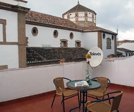 Colón